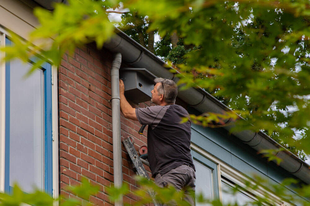 orlyenendevoets-mitigerende-maatregelen mitigerende maatregelen